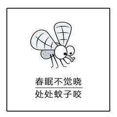 晚上睡覺(jué)蚊子嗡嗡叫？只需幾招，就能把蚊子團(tuán)滅！